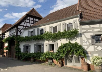 Ferienwohnung im Sambachhaus Gleiszellen, Foto 26