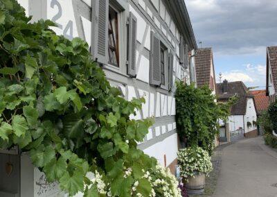 Ferienwohnung im Sambachhaus Gleiszellen, Foto 29